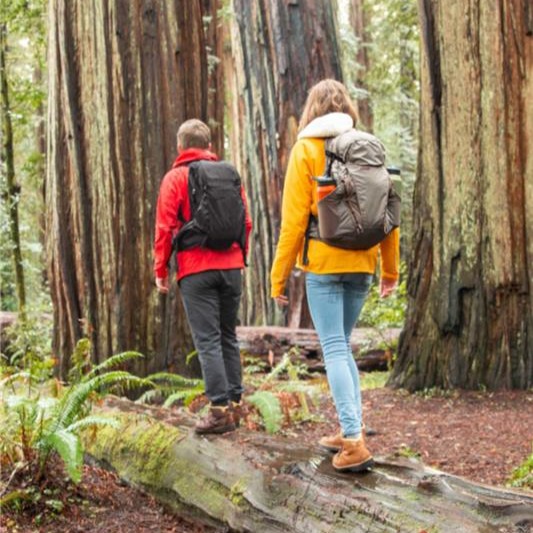 Alexa, play the soundtrack of a fall hike, complete with crunchy leaves. 🎵 #WeAreRevelyst