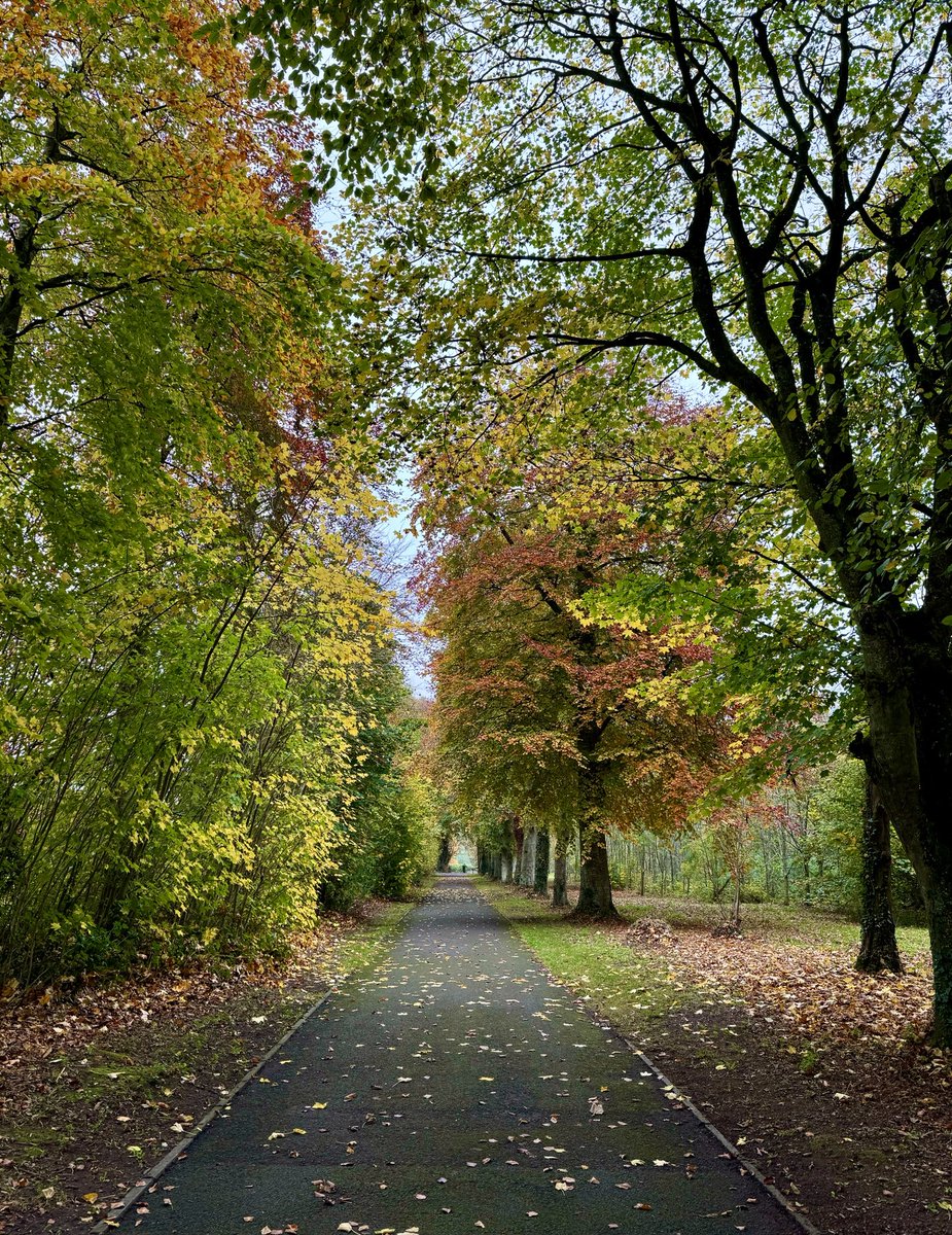 Bart Busschots 💤 tweet media