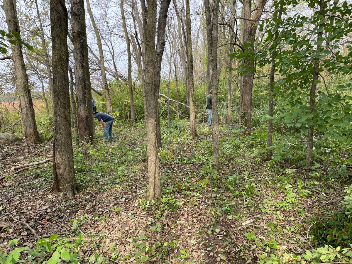 These dedicated volunteers helped remove invasive honeysuckle at Strawtown Koteewi Park as part of our Weed Wrangle on Oct. 12.  While few in number, the difference they made was quite substantial and we are so thankful.