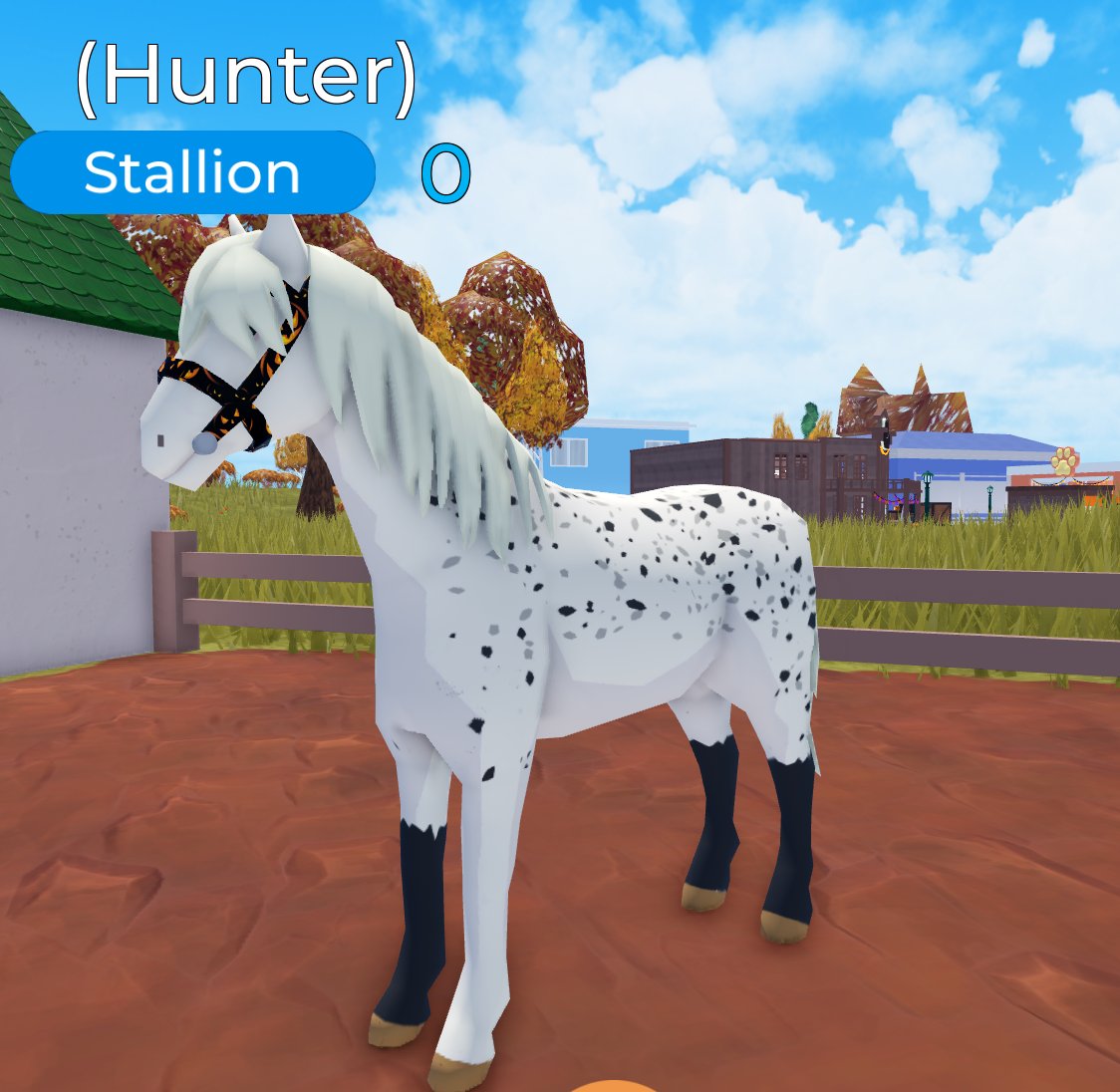 Horse Valley tweet media