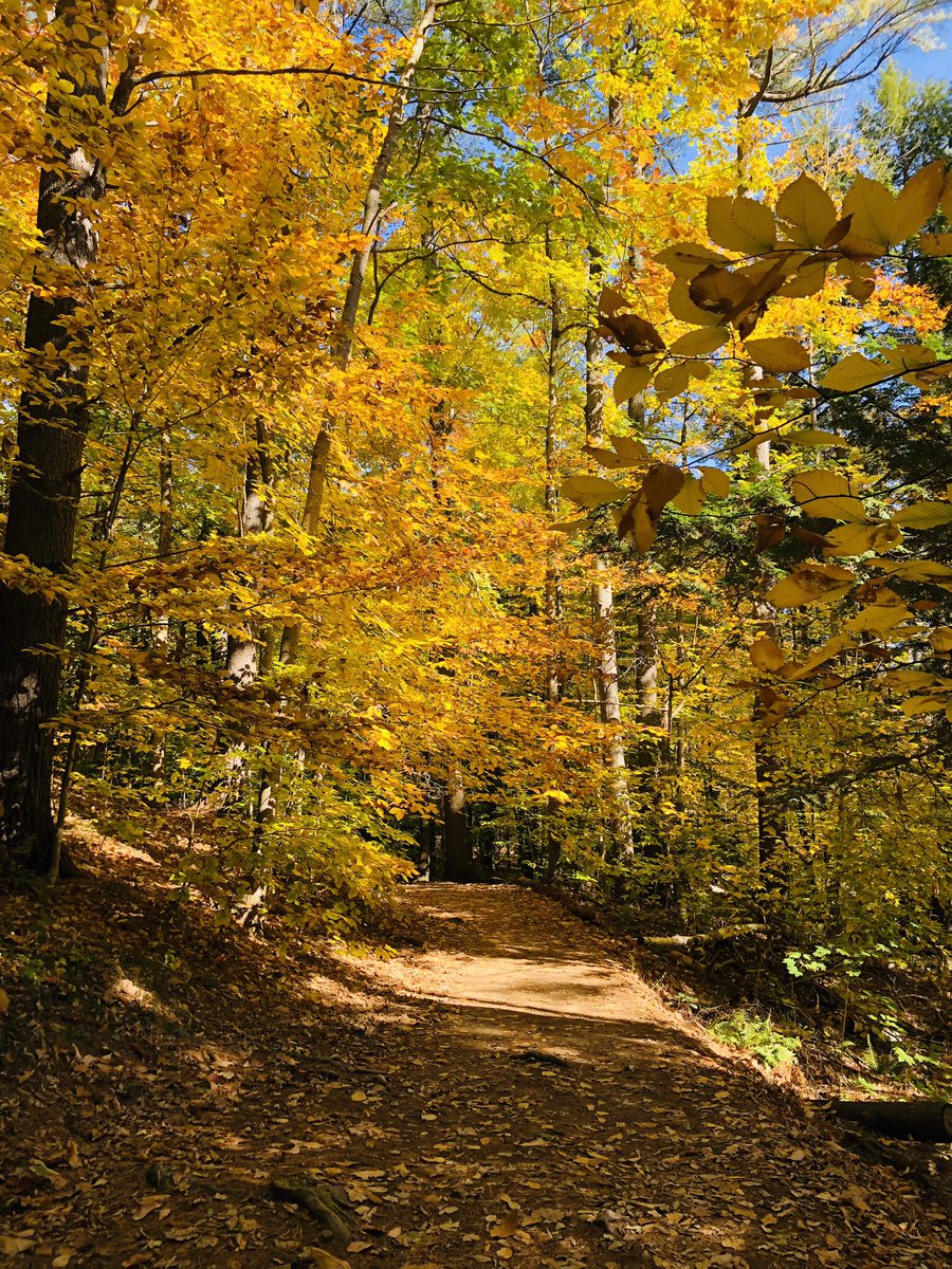 Billy Kobin tweet media