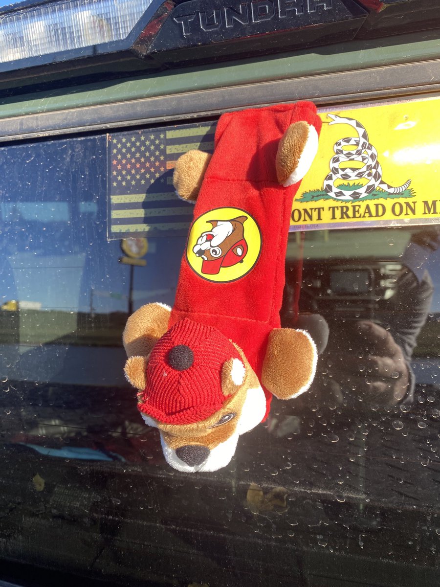 SuzieQuackers2's tweet photo. Who Smashed that Beaver! #Buccee's https://t.co/IvjMsz9cUE