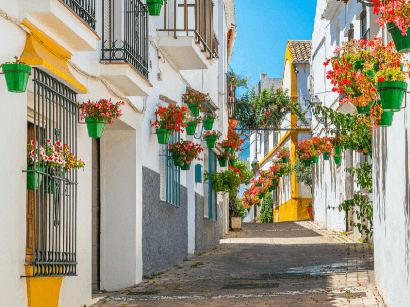 🎄🌍 ¿Aún sin planes para diciembre? 
Aquí tienes los destinos más recomendados para una última escapada del año: desde ciudades con mercados navideños hasta playas cálidas.🌞❄️ 
¡Empieza a planificar! 👇 
bit.ly/destinosDiciem…

#ViajarEnDiciembre #InspiraciónViajera