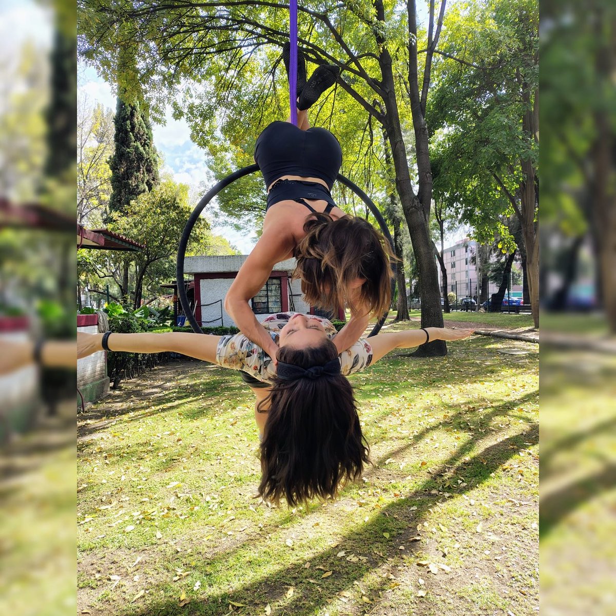domelyAmaro's tweet photo. Cute 🖤 

#Aerialist
#Instructor
#AerialHoop
#Aerialhooptricks
#ChicaCirco https://t.co/BdsBdVRmcr