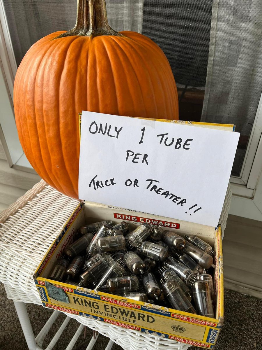 Buzzy Zano Torek tweet media