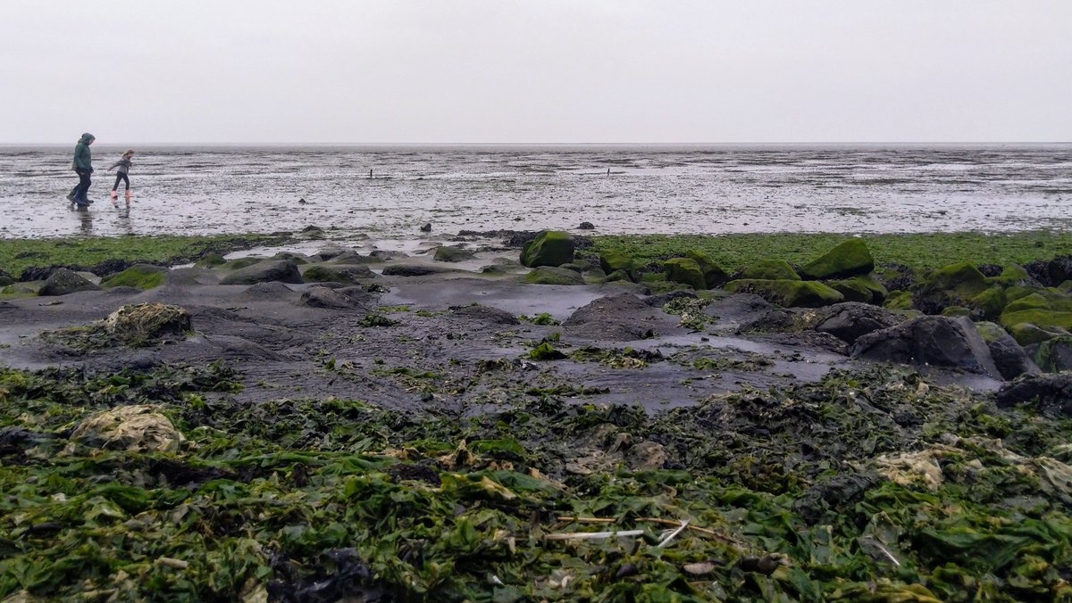 Vandaag is Texel precies 854 jaar een eiland. Al blijft dat voor een Waddeneiland relatief. #Texel