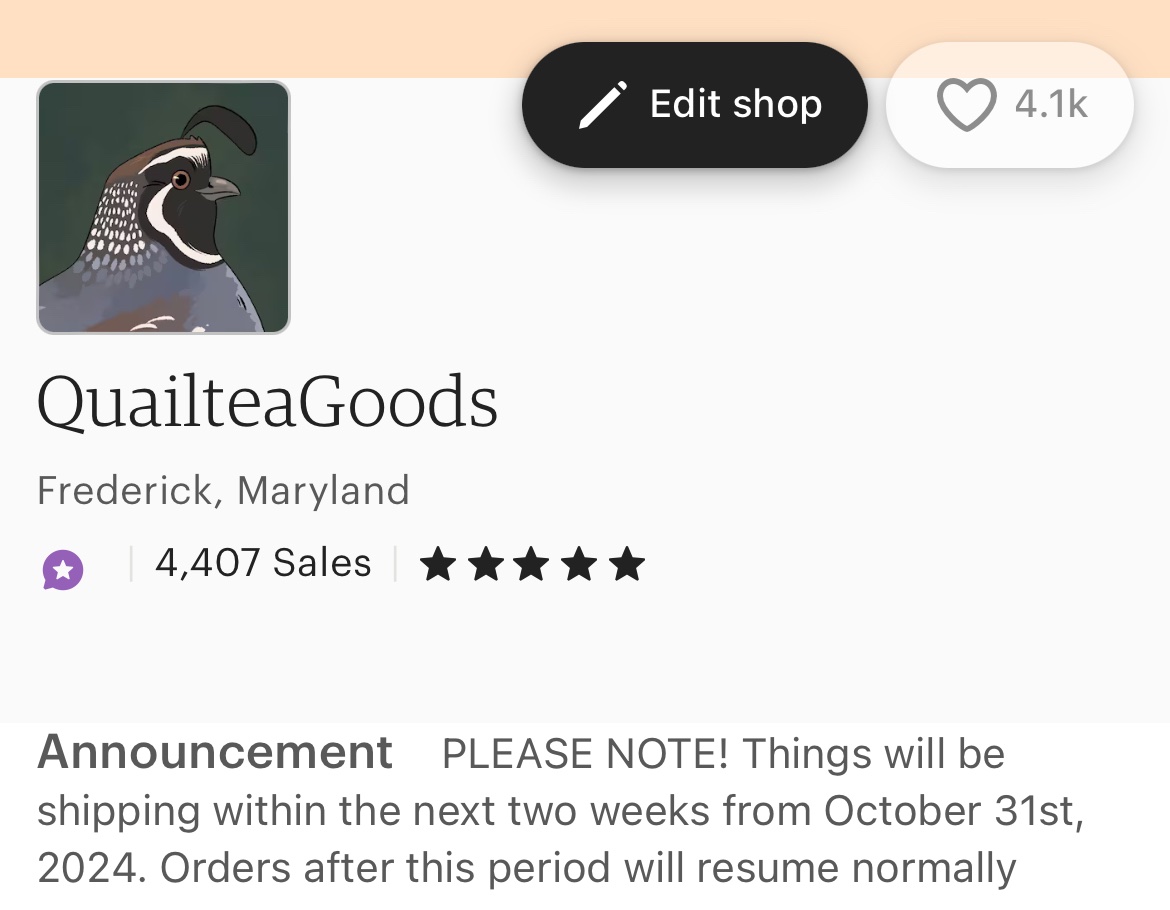 quailtea's tweet photo. Hey yo, we’re back up! Still tons of ceramics too, if ya wanna check it out! I’ll be back in one week and things will begin going out shortly after :) https://t.co/v3S9EVa6vy