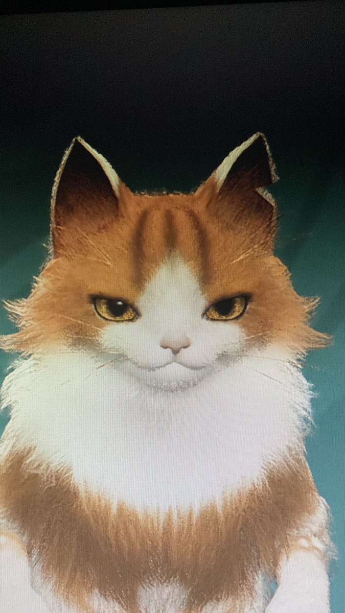 Marcos_Okt22's tweet photo. もう神ゲー https://t.co/VybdIKvqin