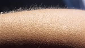 Merlin Philippe tweet media