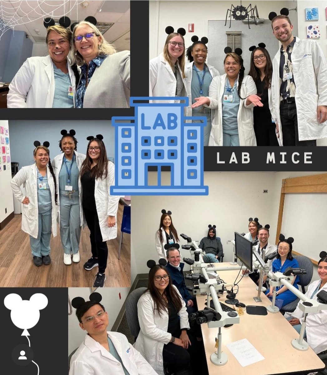 pathologistmom's tweet photo. 🎃👻 #Pathoween through the years! From PGY3 eosinophils 💕 to PGY4 lab mice 🐭 and now PGY5 RUSH slides 📸. Always a fun time celebrating with our amazing Pathology Chair💙💛 and colleagues! #PathologyLife #MedTwitter #FellowshipFun https://t.co/QKEfwqf6w0