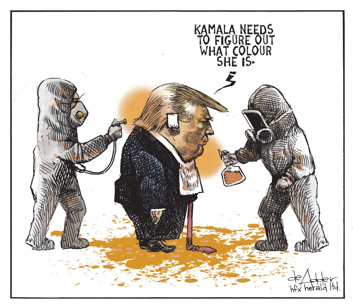 deAdder's tweet photo. The Chronicle Herald https://t.co/yvefGOw1hv