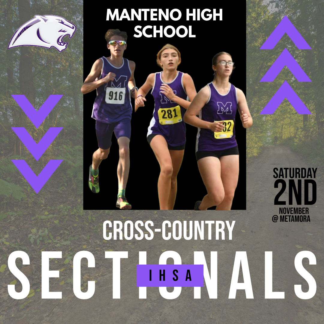 Manteno Athletics tweet media