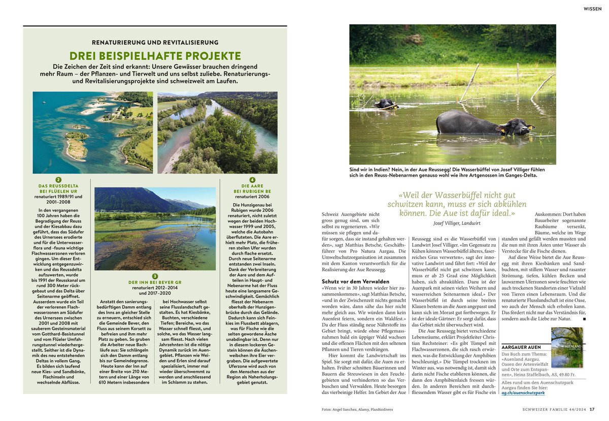 Hochwasserschutz und Biodiversitäts-Hotspots – Renaturierte Reuss: Wieso Feuchtgebiete so wichtig sind: tagesanzeiger.ch/aargau-reuss-n…