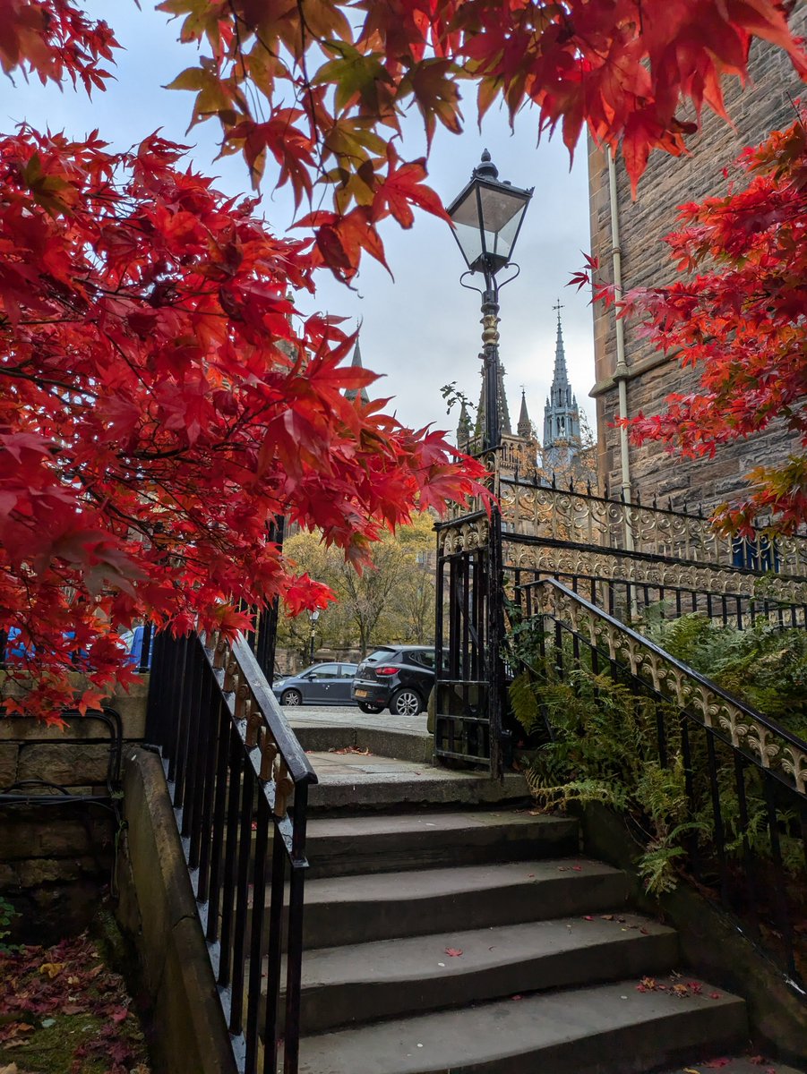 UofG_Alumni's tweet photo. Happy November! 💕
Autumn 🍁🍂 is in full swing on our campus, so we thought we'd share some recently captured pics!📷
#autumn #uofg #autumninscotland #fallphotos #seasonschanging #glasgow #glasgowuni https://t.co/tPE2HUAnDB