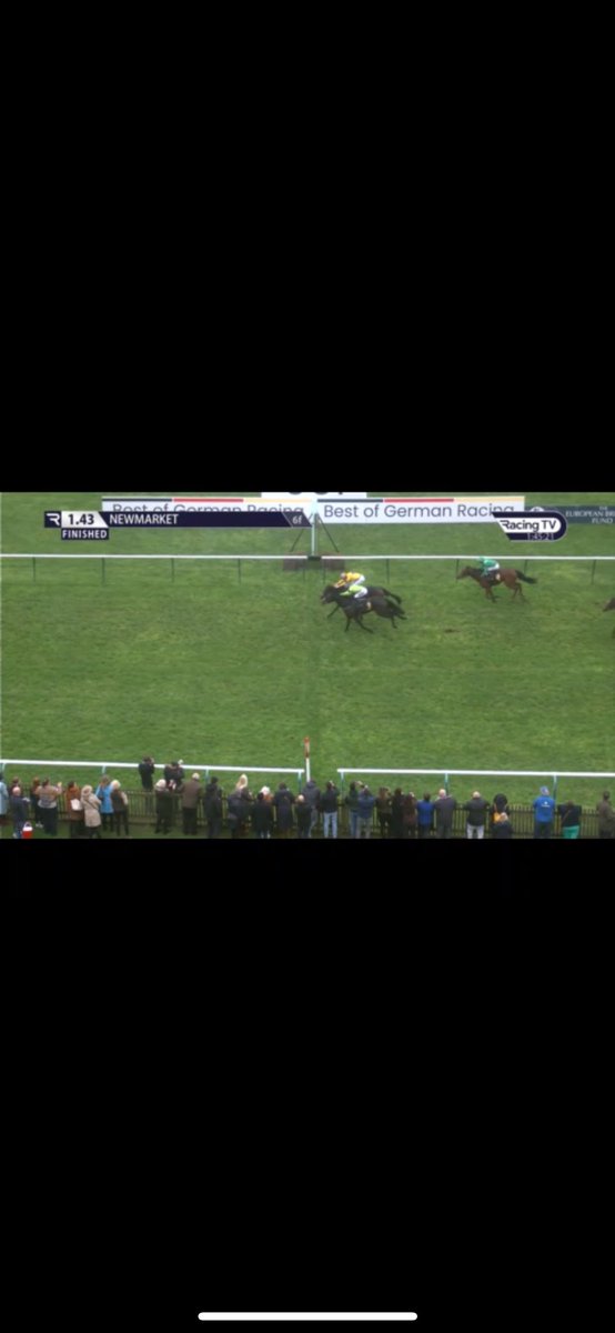 Disgusting that this just cost me £2.4K as had a £8.50 acca aswell 🐎 🤢🤦🏽‍♂️