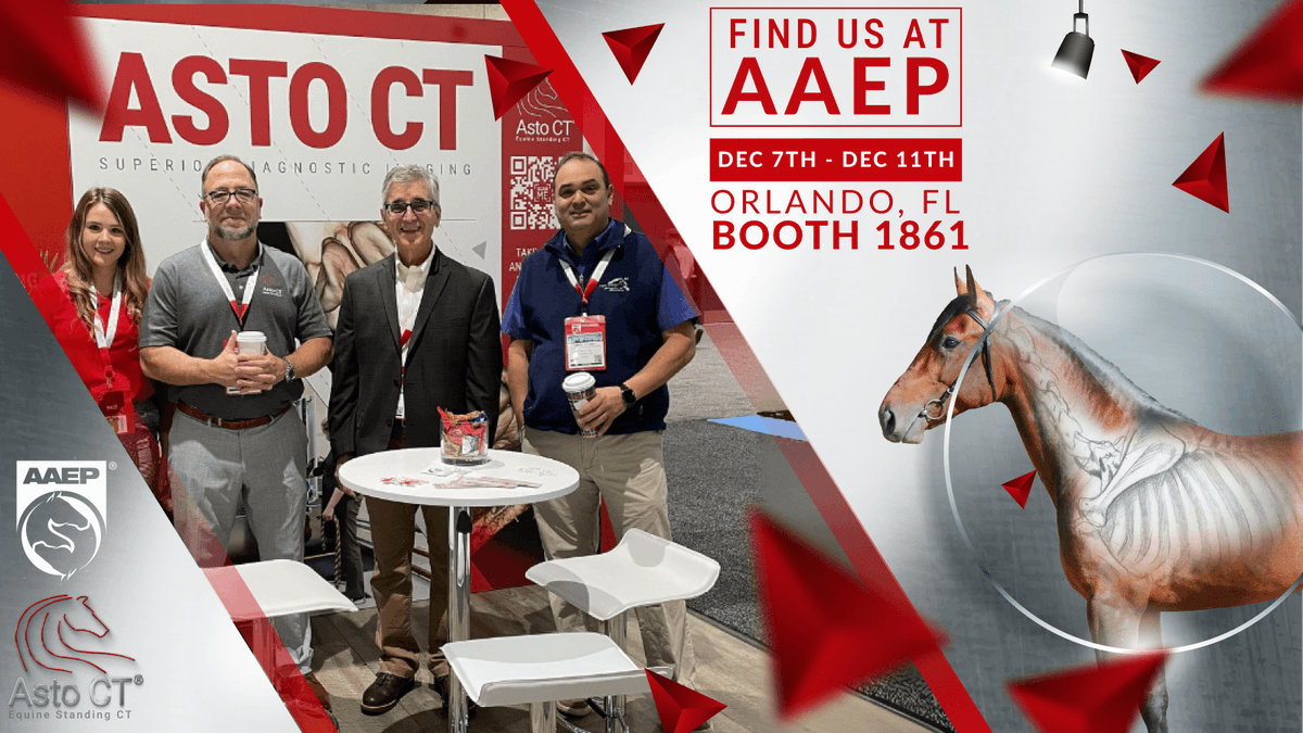 Equina_AstoCT's tweet photo. 🌟Join Asto CT at the AAEP Convention! 🌟 Visit booth #1861 from Dec 7-11 at the Orange County Convention Center in Orlando! Discover our Equina CT scanner, meet the team, and pick up air plants &amp; DIY plant kits. See you there! 🐴🌱 #AAEP2024 #EquineHealth #AstoCT @AAEPHorseDocs https://t.co/YrOlYrlThN