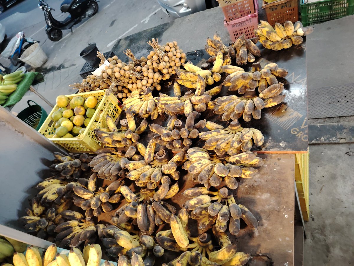 BetterFlyBSF's tweet photo. 🌍We're on a mission to make Thailand waste-free! With support from Star Market, we're implementing organic waste separation and bioreactor technology to achieve zero waste to landfill. Together, we’re creating a more sustainable future! ♻️💚 #Sustainability #ZeroWaste #FoodWaste https://t.co/nat8LQICPz