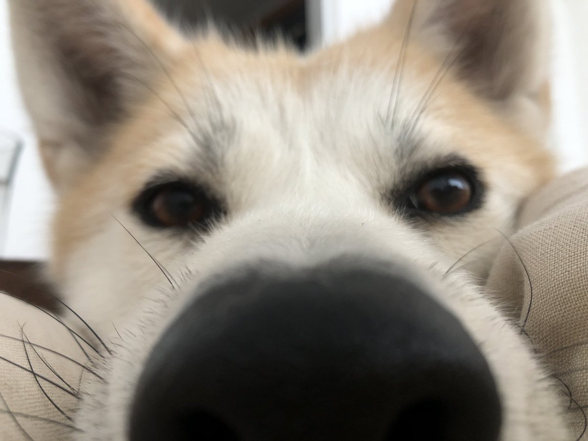 Ana Bezaury tweet media