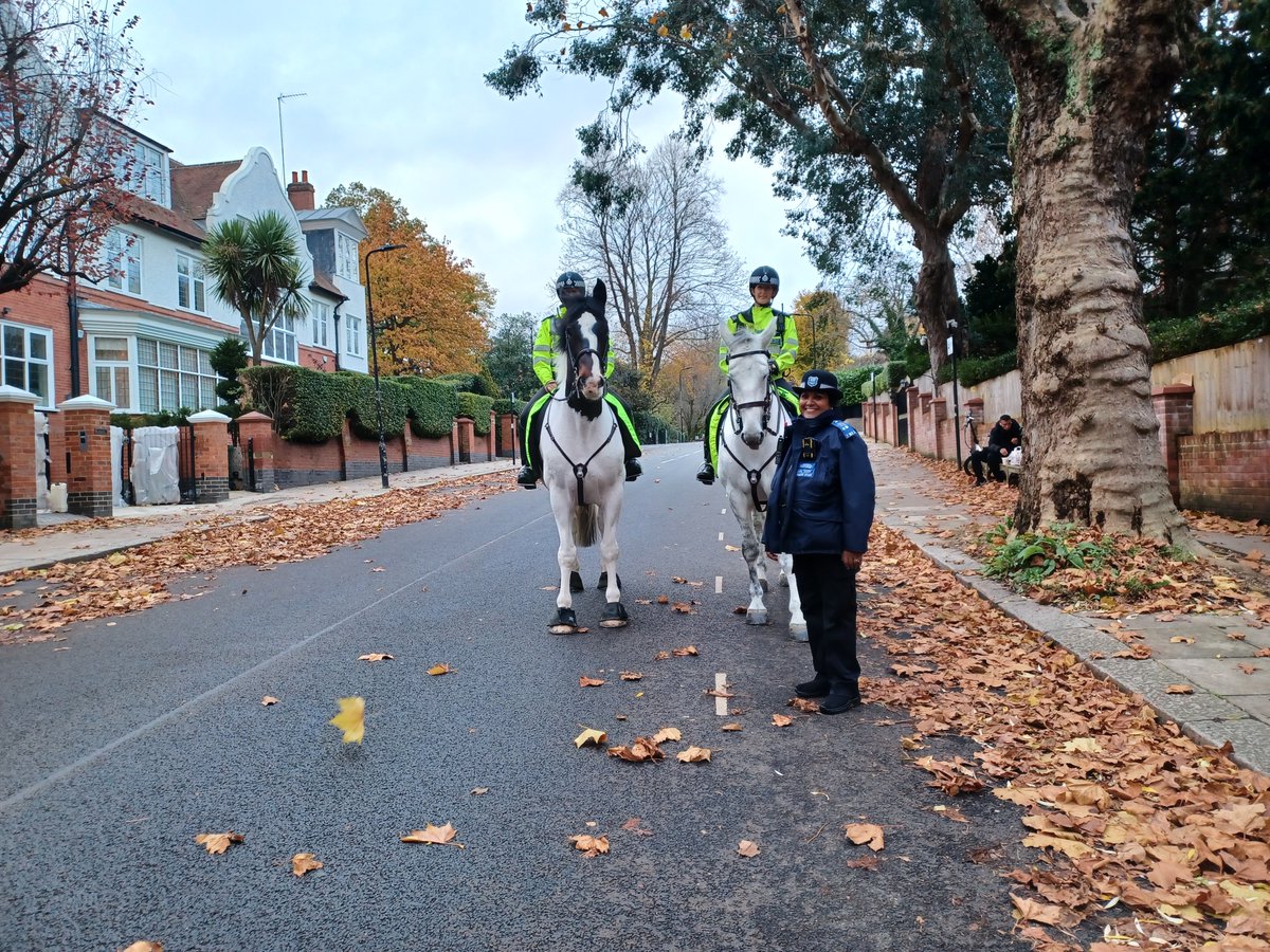 Frognal & Fitzjohn's Police tweet media