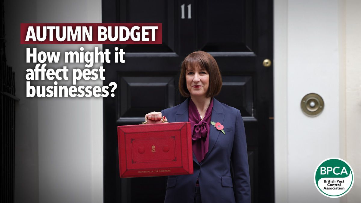 💰 The 2024 Autumn Budget was announced this week, with a few changes in store for businesses. 

Take a look at our wrap-up and if you're a BPCA member with any questions, get in touch. 🤗 

Read: buff.ly/4hxcICy 

#PestControl #Budget #UKBudget #AutumnBudget
