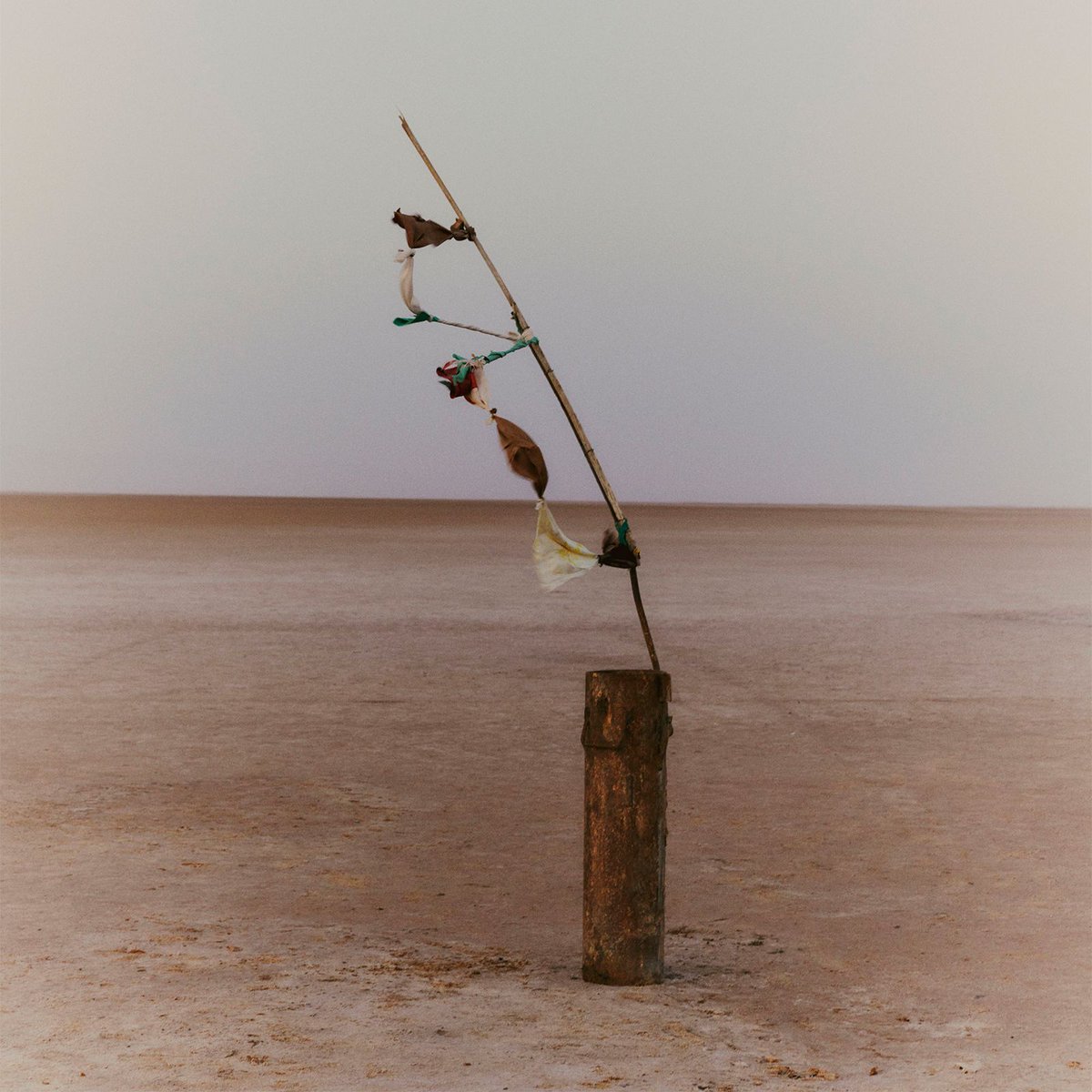 NOVEMBER · “And all the lives we ever lived and all the lives to be are full of trees and changing leaves.” — Virginia Woolf