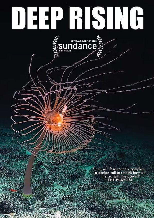 Greenpeace presents : Deep Rising : A Film about the the deep sea mining industry &amp; how it threatens ocean habitats.  Wednesday 6th November at the Biscuit Factory Reading . readingbiscuitfactory.co.uk/movie/greenpea…