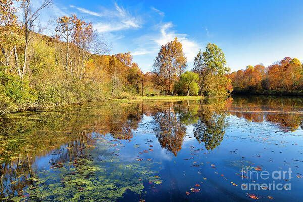 shelia_hunt's tweet photo. Autumn in #ErwinTN 🍁✨ This picturesque scene is now available in Fine Art prints and canvas at https://t.co/TcxLYt1lPv 

#ErwinTN #Erwin #HurricaneHelene #SheliaHuntPhotography #BuyIntoArt #AppalachiaStrong #ErwinStrong #BestoftheVolunteerState #AutumnVibes https://t.co/TJ6gfVx6ib