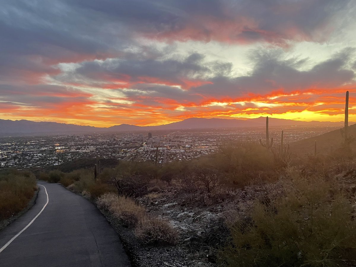 When this is the view from the trail, it makes the early morning hike worth getting up for #whyilovewhereilive #tumamoc
