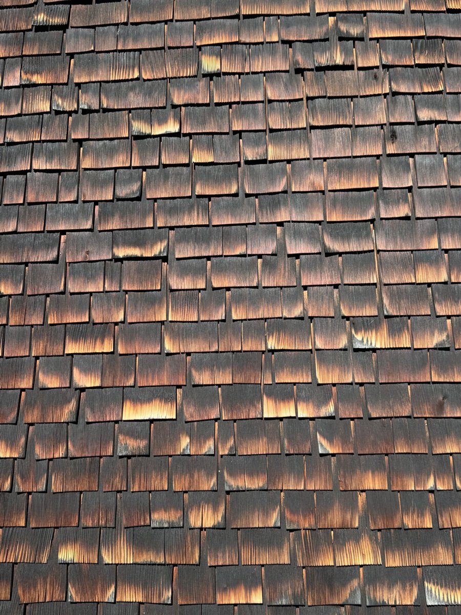 en.wikipedia.org/wiki/Peter_Zum… che roba!