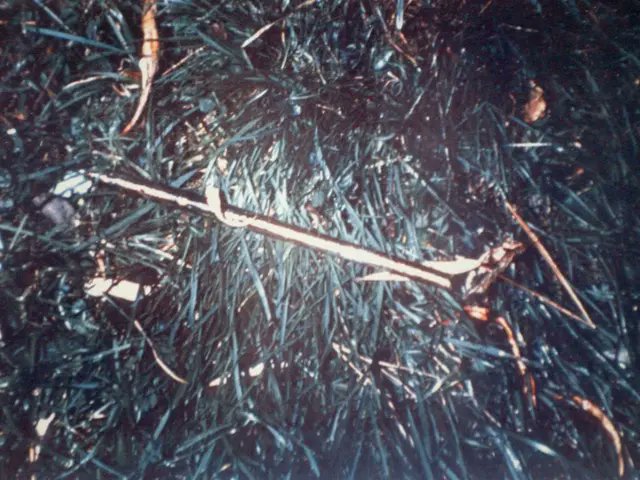 castingthepod's tweet photo. Episode 65: The Murder of Martha Moxley, Part 1
#bottleofbedlam #Spotify #Podcast #BoB #BFF #Halloween📷 #MarthaMoxley #TrueCrime https://t.co/l5ry35l5gm