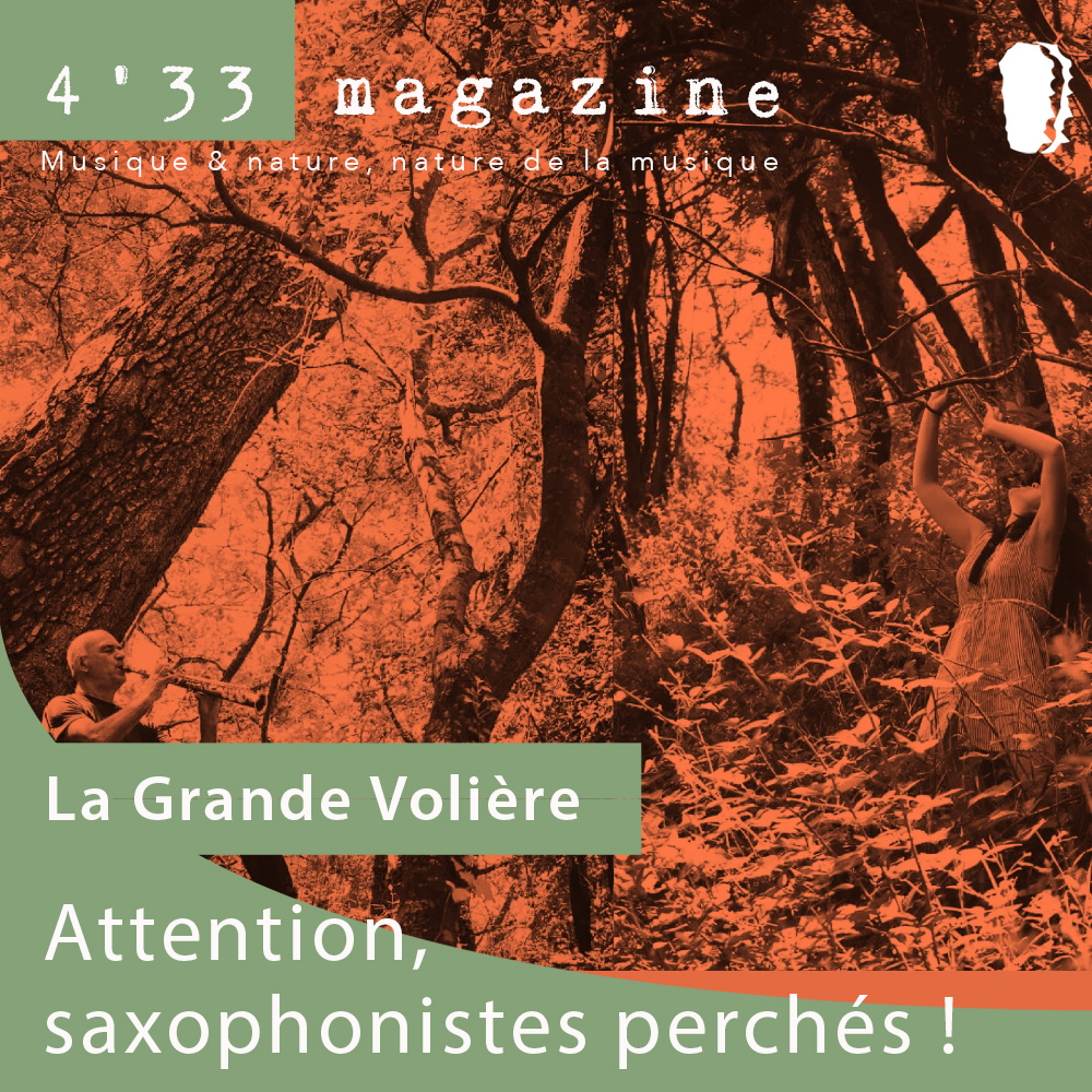 FrMauger's tweet photo. La « grande volière » : attention, saxophonistes perchés !
Les saxophonistes Michel Doneda, Lionel Garcin, Violaine Gestalder, Alexandra Grimal et Guillaume Orti donnent des concerts harnachés au sommet des arbres…
Lire l'article : https://t.co/LewhEOfaEa https://t.co/sY2cuueTjh