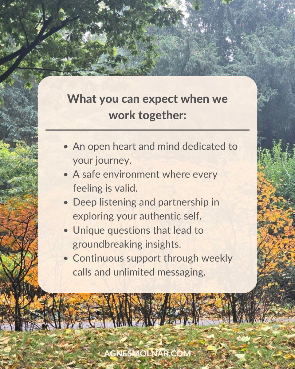 Agnes Molnar tweet media