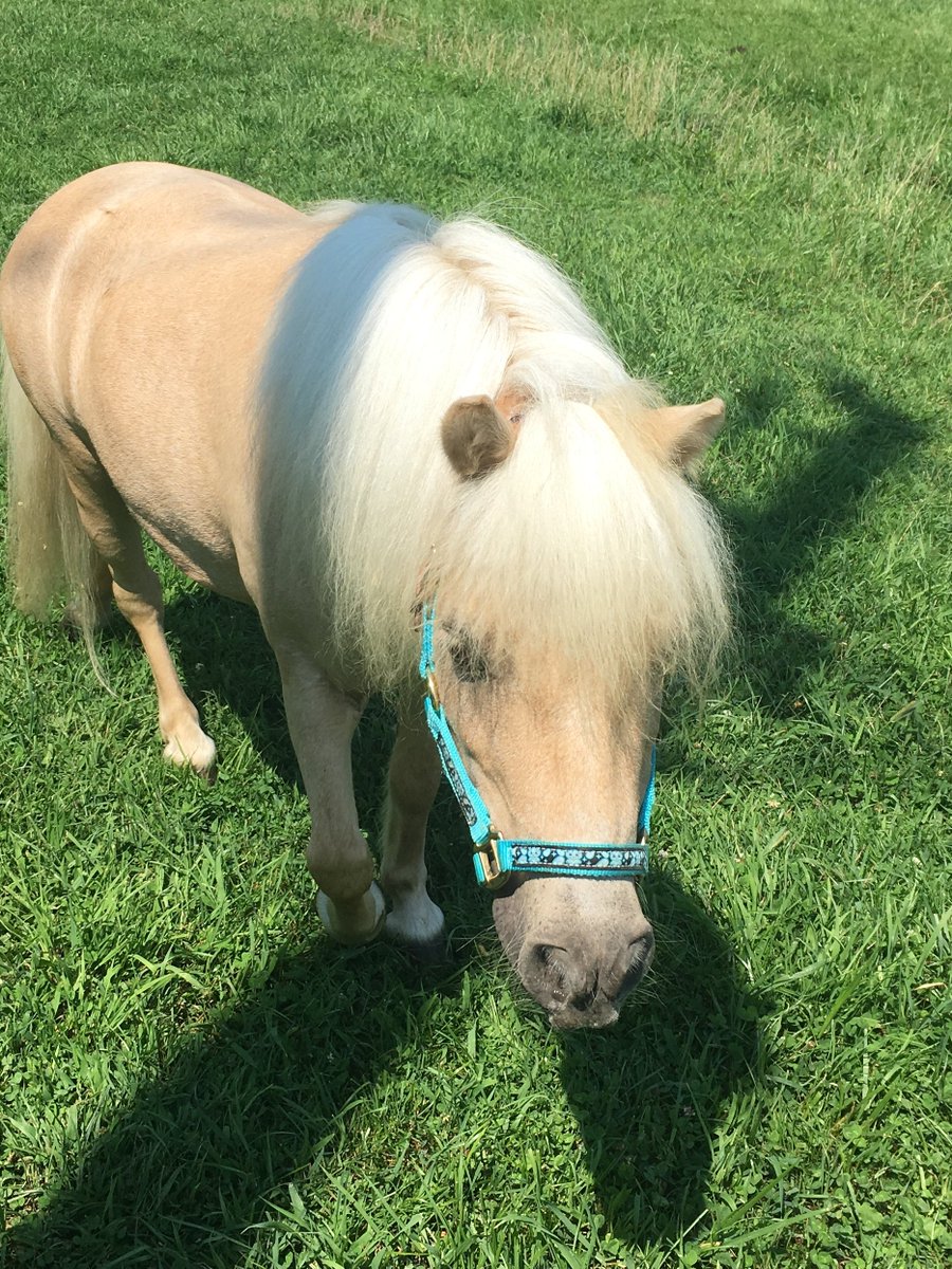 Our NOVEMBER NEWSLETTER has hit the stands.  Be sure to check in on all the happenings.
Read it!    tinyurl.com/2s4585xj
Subscribe!  tinyurl.com/2yjc4cpp
Don't forget to get your CAPTAIN O'S STOUT &amp; OYSTER FEST  tickets.
(November 23, 12-5pm)
mdtix.com/milkhouse-brew…