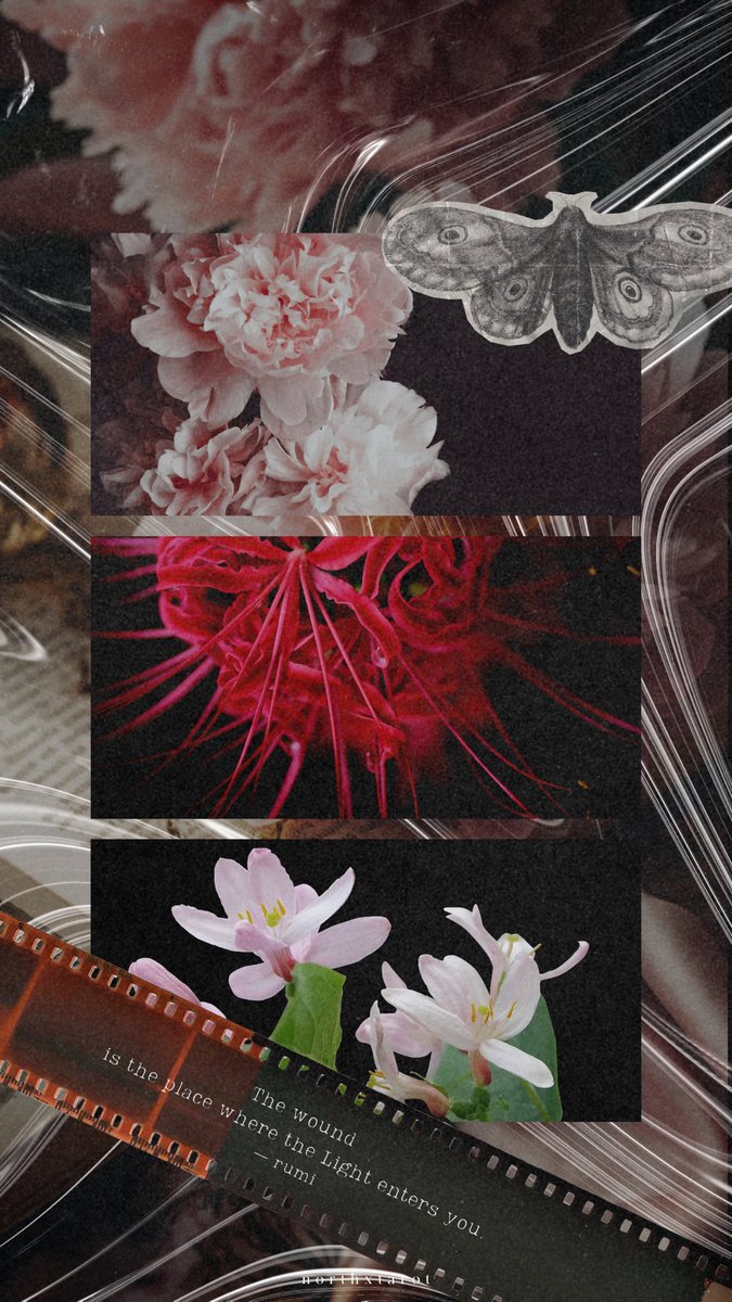 northxtarot's tweet photo. หากอ่านครบหมดแล้ว และรีโพสต���บนสุดเรียบร้อย สามารถเซฟวอลเปเปอร์ไปใช้ได้เลยนะคะ 🧿🍷📱

ขอความร่วมมือ  กรณีส่งต่อวอลเปเปอร์ให้คนรอบตัวใช้ อย่าลืมแชร์ต้นโพสต์ให้คนที่ใช้���่อได้กดรีโพสต์ก่อน เมจิกจะเกิดขึ้นเมื่อเราเคารพกติกาของผู้สร้างสรรค์ค่ะ

tablet &amp; destop version เฉพาะสมาชิกค่ะ https://t.co/Uvj6qmENjR