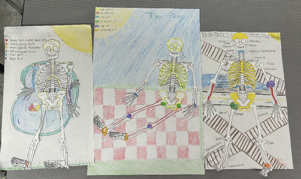 It’s been a fun week in 8th grade learning about the skeletal system and its functions! We ended our spooky week by identifying our bones and joints and labeling them in a creative scene! Here are some of my favorites! #hms