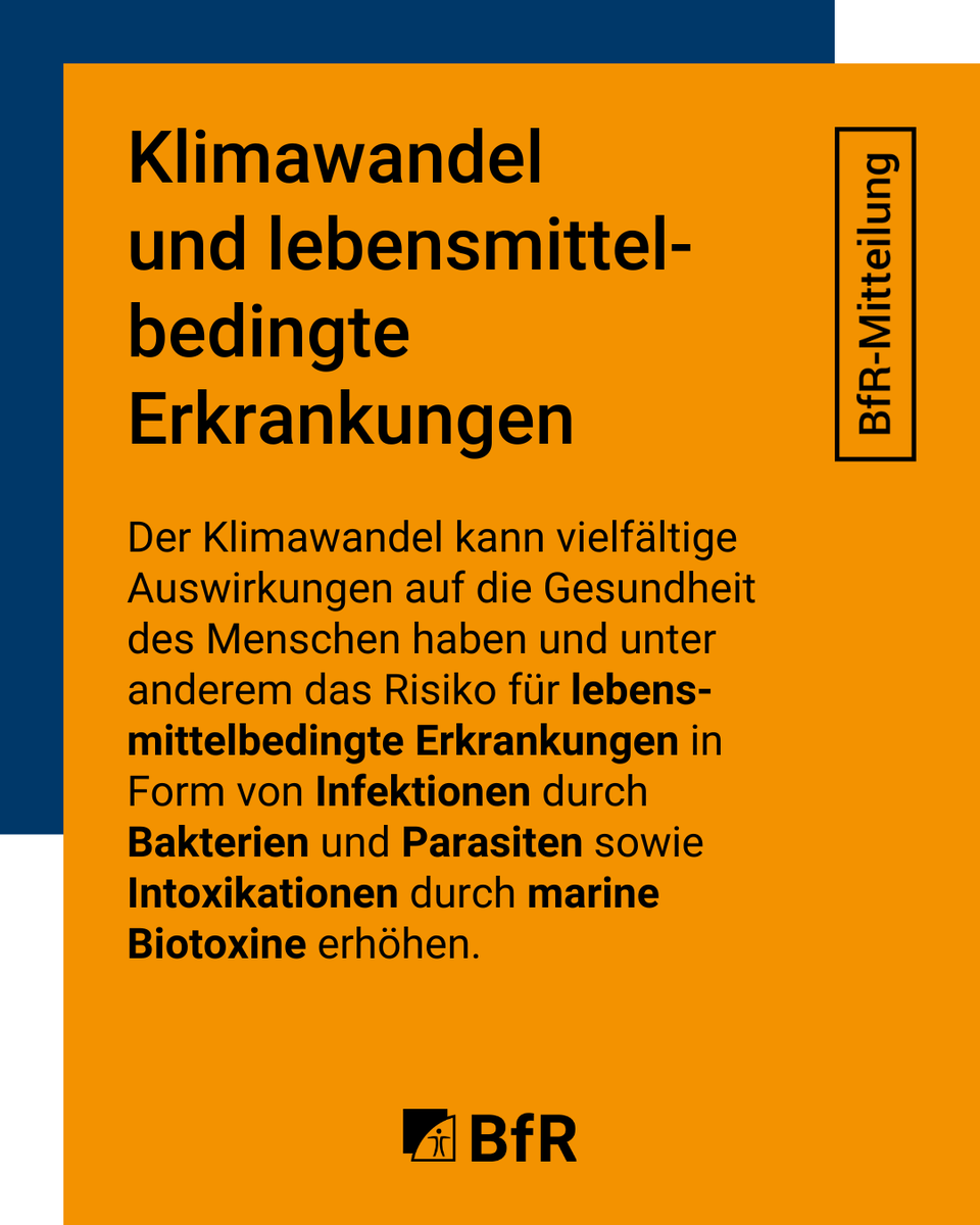 Wissenschaftliche Studien zeigen, dass es einen direkten Zusammenhang zwischen dem #Klimawandel und dem häufigeren Auftreten lebensmittelbedingter Erkrankungen gibt.

Mehr erfahren: bfr.bund.de/cm/343/klimawa…