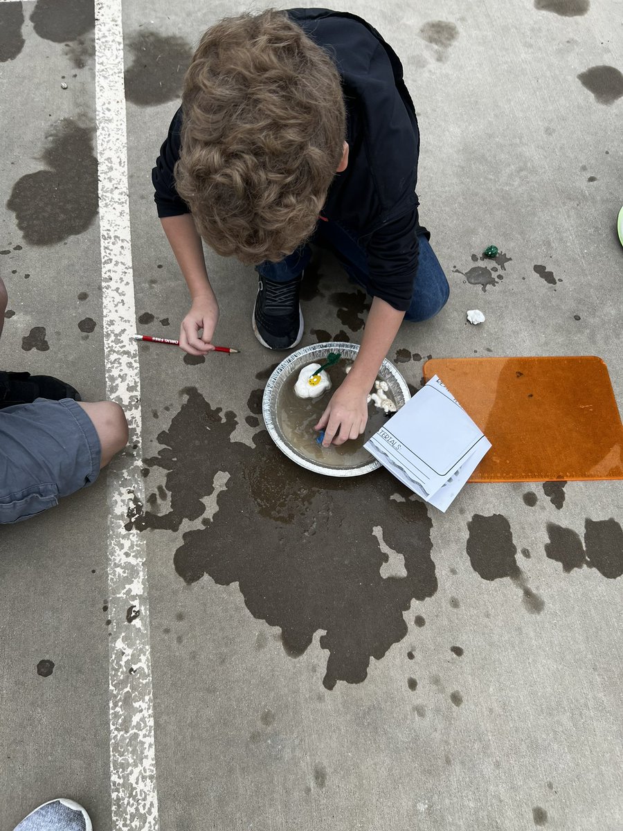 Mrs. Moore's Class tweet media