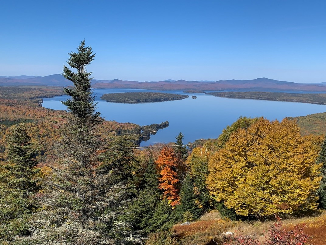 cPort Credit Union tweet media