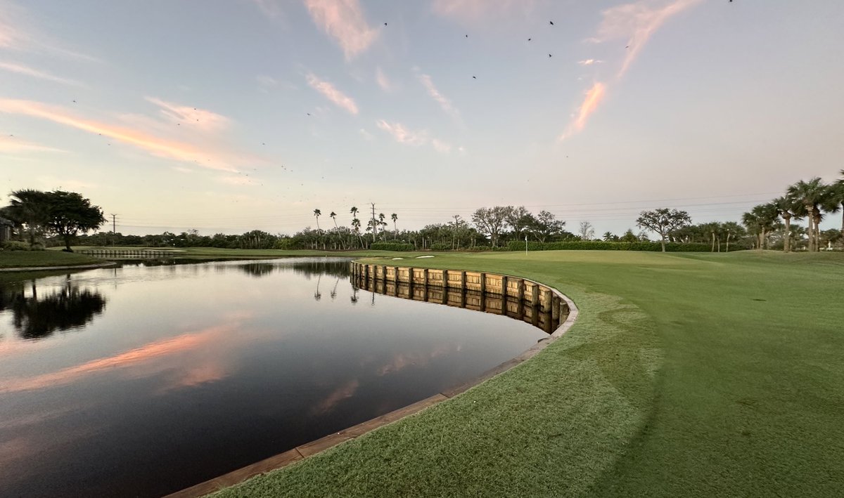 Robert Bailey tweet media