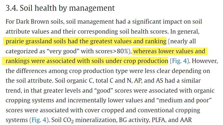 Andrew McGuire tweet media