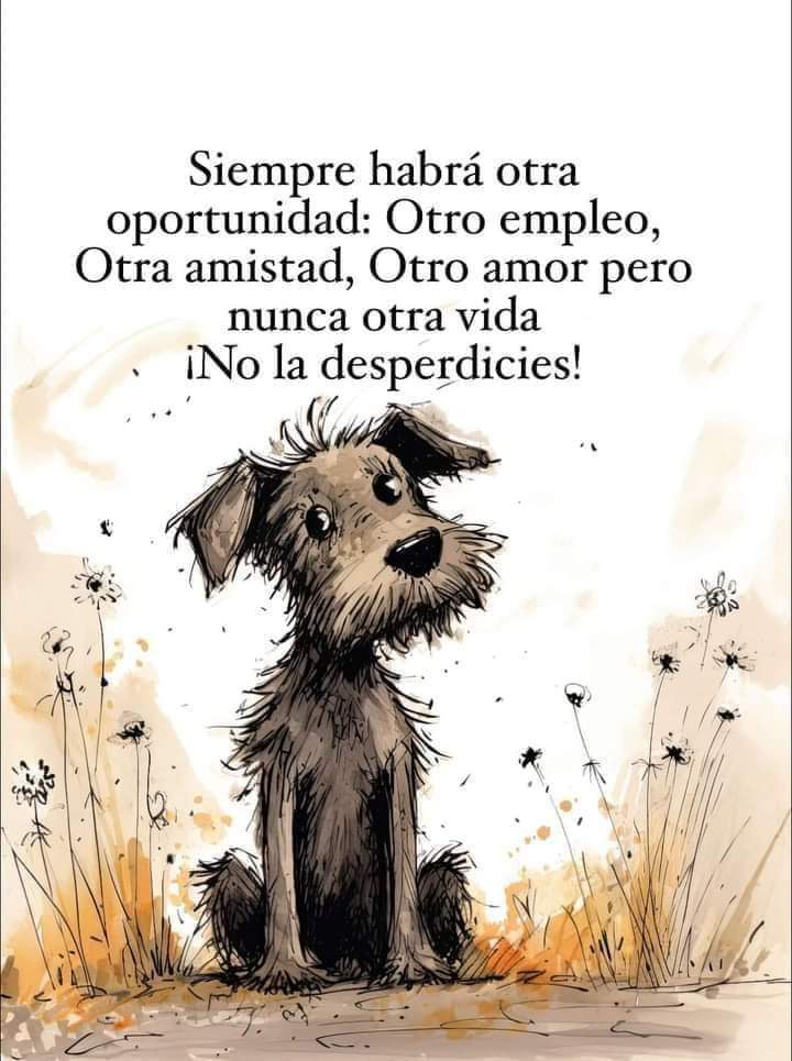 Sabueson's tweet photo. 100% verdad https://t.co/txScZa1lU8