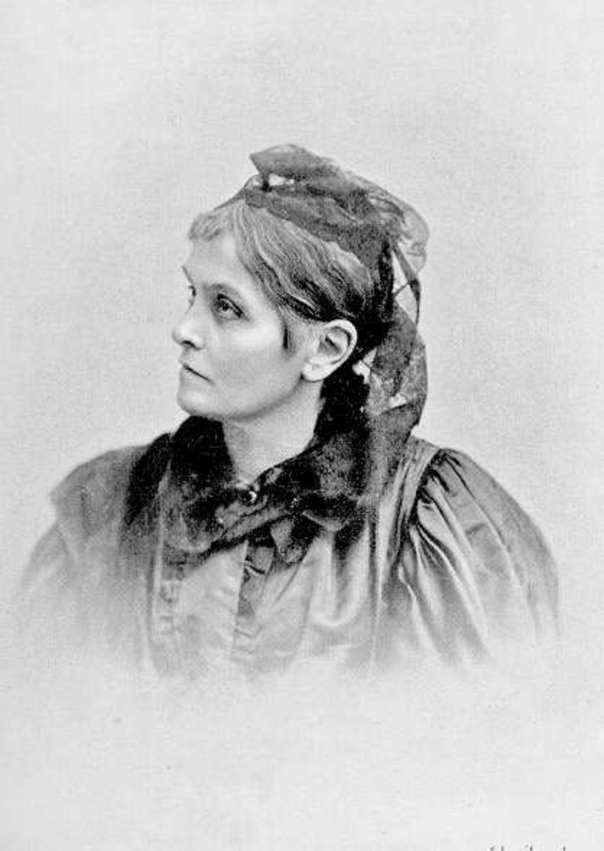 Wikipatia tweet media