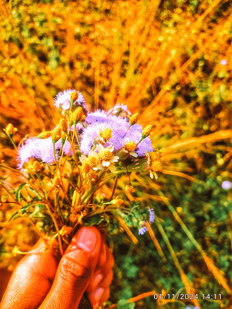 यो फुल लाई कति पर्छ !😄❤️