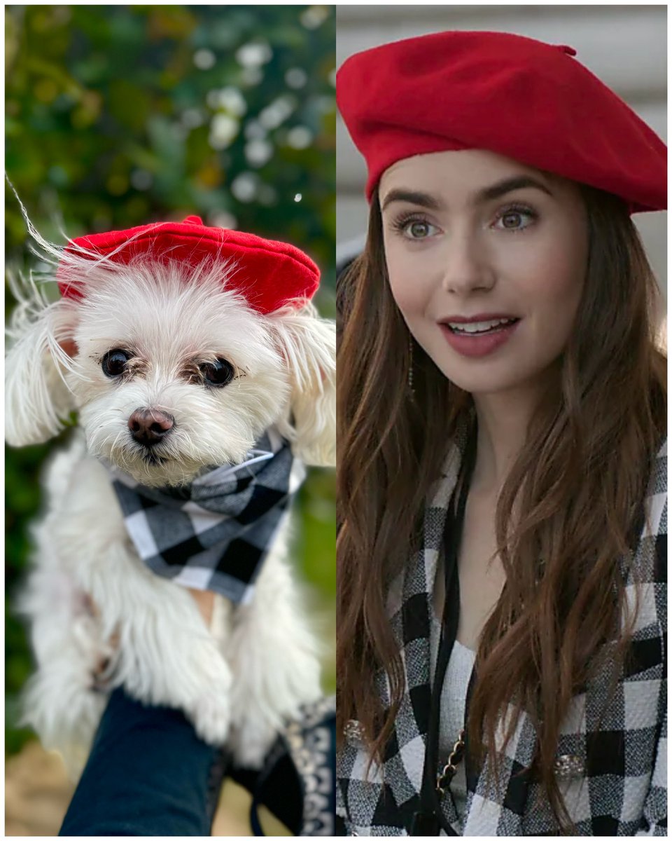 tina_pali's tweet image. Happy Halloween from ̶E̶m̶i̶l̶y̶ Mia in Paris🇫🇷🥐 bonjour, @lilycollins!