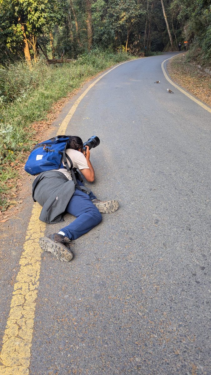 mrophiophagus's tweet photo. The Photographer vs The Photo https://t.co/jRzbRnghhe