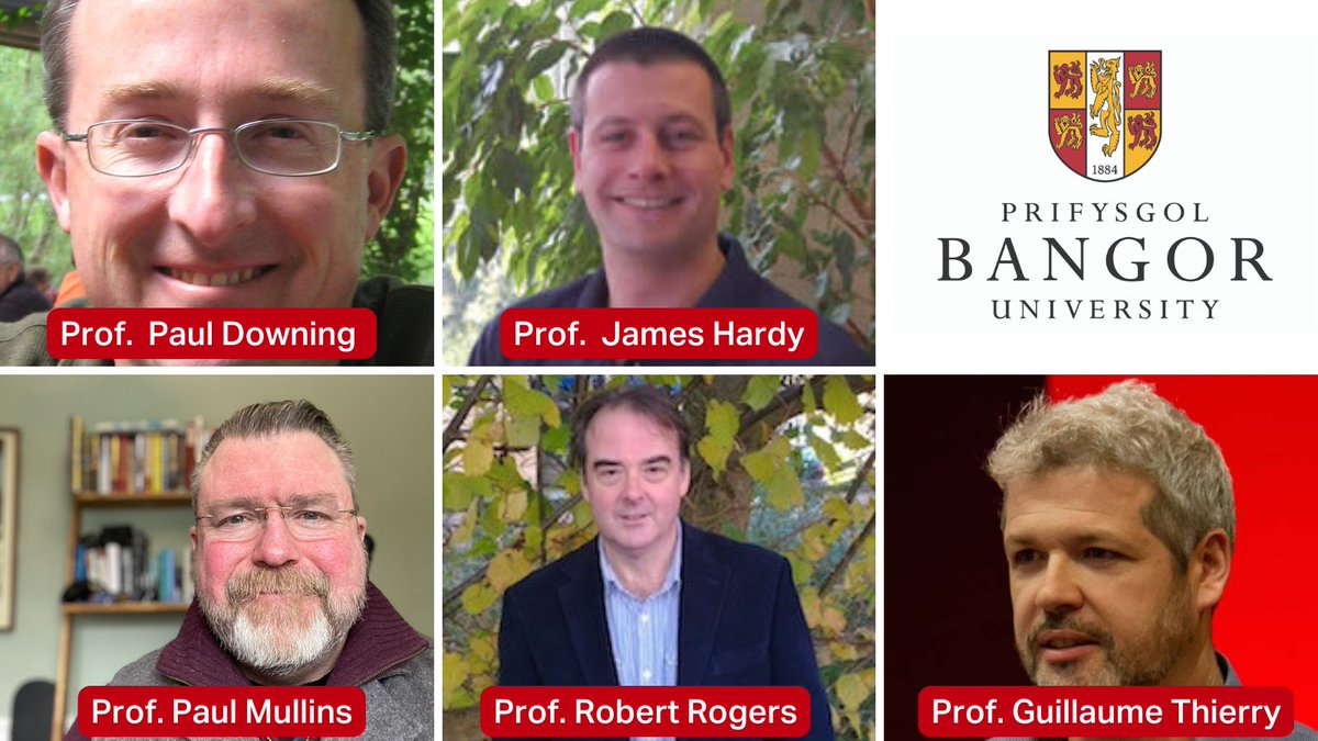 PsychBangor's tweet photo. ๐
@BangorUni's Psychology & Sport Science academics are ranked among the worldโs top influential scientists! ๐ Their groundbreaking research is making a global impact. Huge congrats to the team driving innovation and knowledge in health and performance!ย
https://t.co/u8Fs5FkxjK https://t.co/xicMXb6ela
