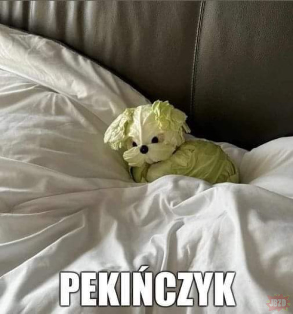 AjKedzierski's tweet photo. https://t.co/KnrrASekZF