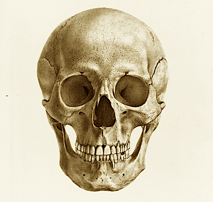 [For all practical (or impractical) purposes, this profile is on indefinite hiatus for the foreseeable future.]