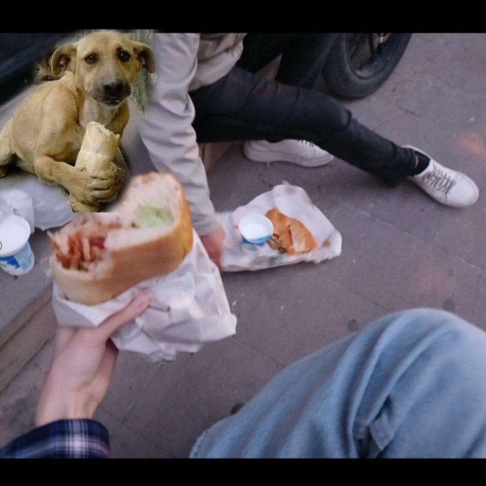 ucuncu date🤲🤲🤲
arkisinide getirms