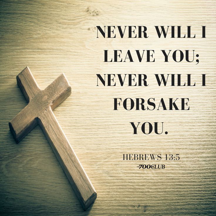 Connie Cline (@conniecline25) on Twitter photo 